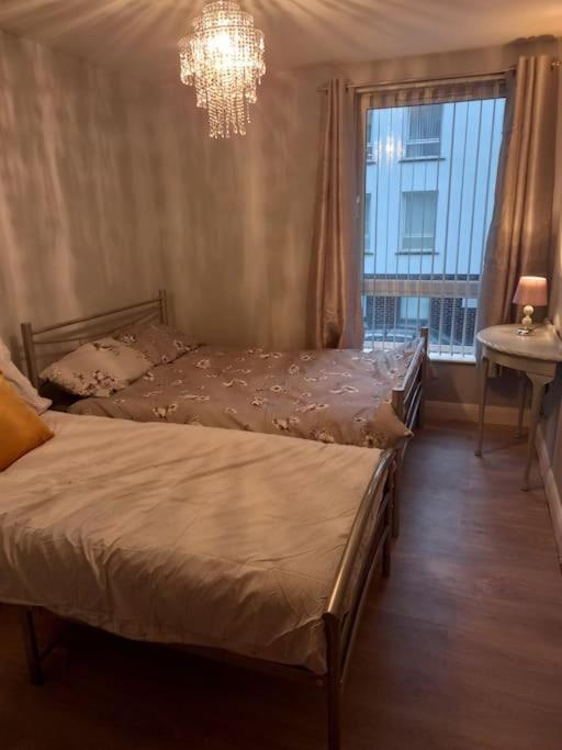 Modern 2-Bedroom City Apartment With Free Parking Belfast Ngoại thất bức ảnh